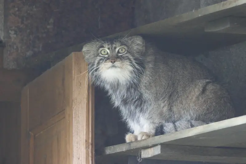 A photograph of Timofey in Moscow zoo