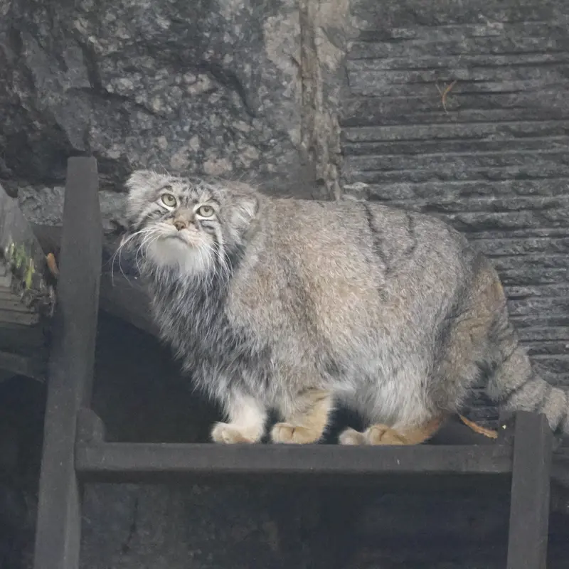 A photograph of Timofey in Moscow zoo