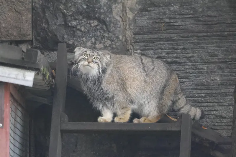 A photograph of Timofey in Moscow zoo