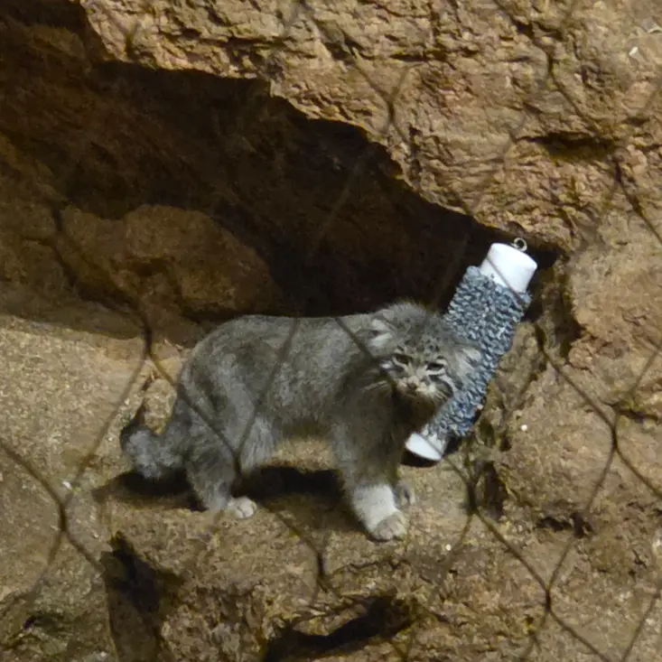 A photograph of Johan in Brookfield Zoo Chicago