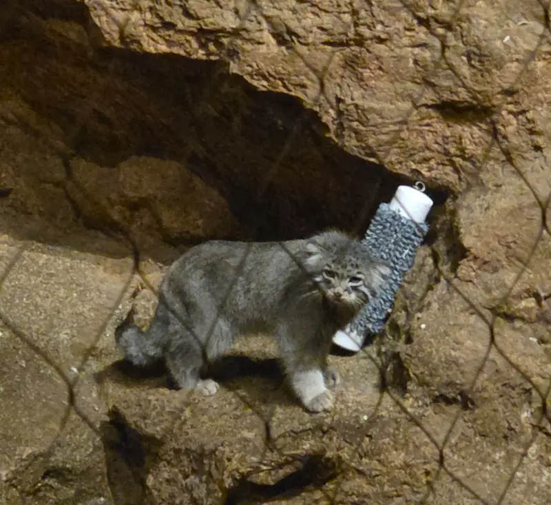 A photograph of Johan in Brookfield Zoo Chicago
