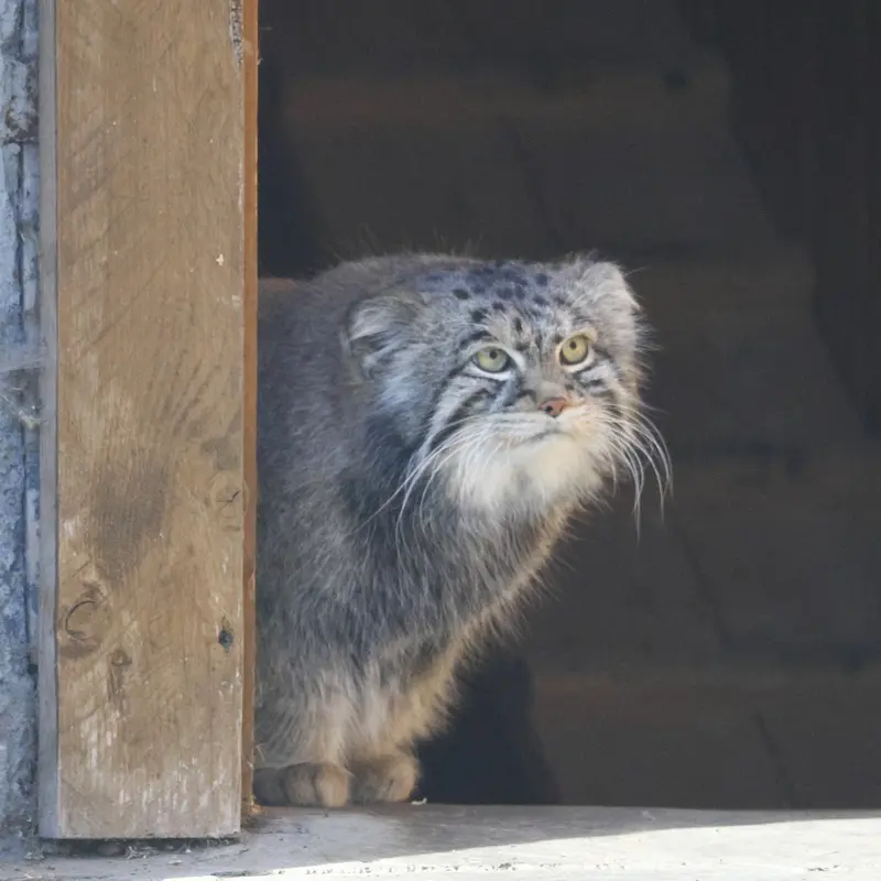 A photograph of Timofey in Moscow zoo