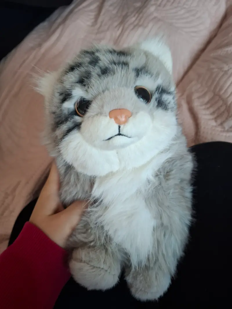 My manul plushie