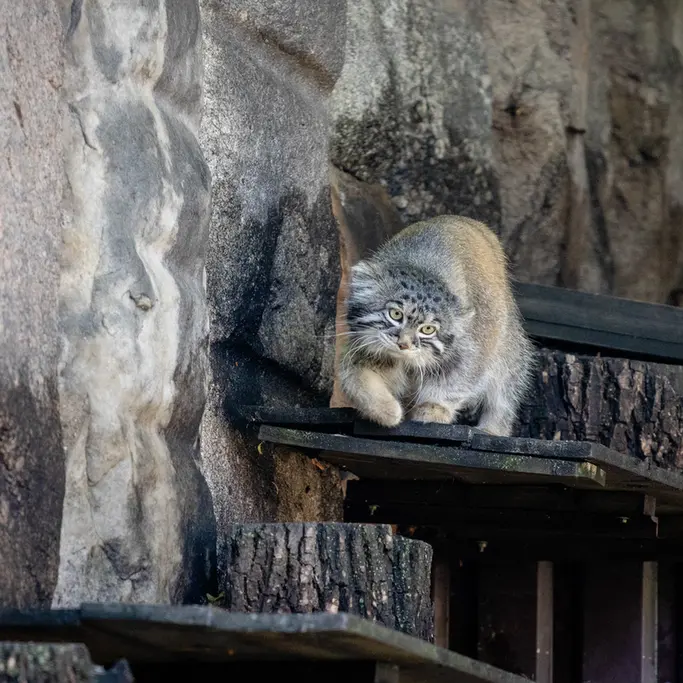 A photograph of Timofey in Moscow zoo