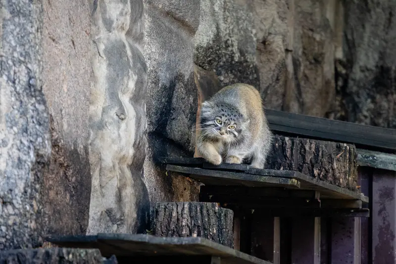 A photograph of Timofey in Moscow zoo