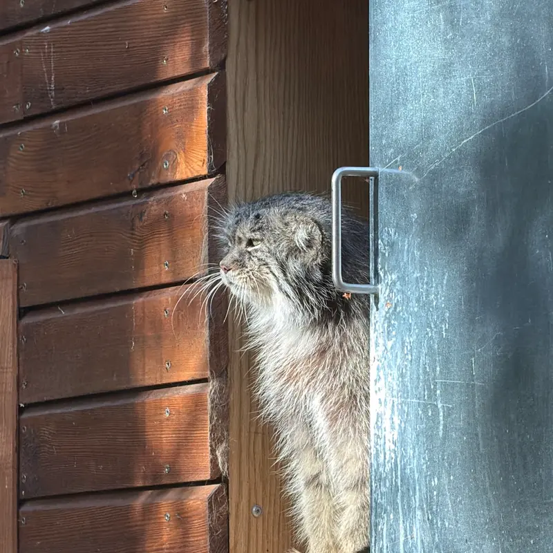 A photograph of Manuel in Gdansk Zoo
