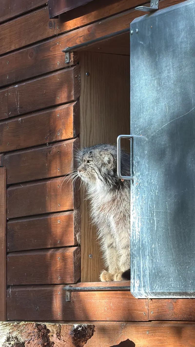 A photograph of Manuel in Gdansk Zoo
