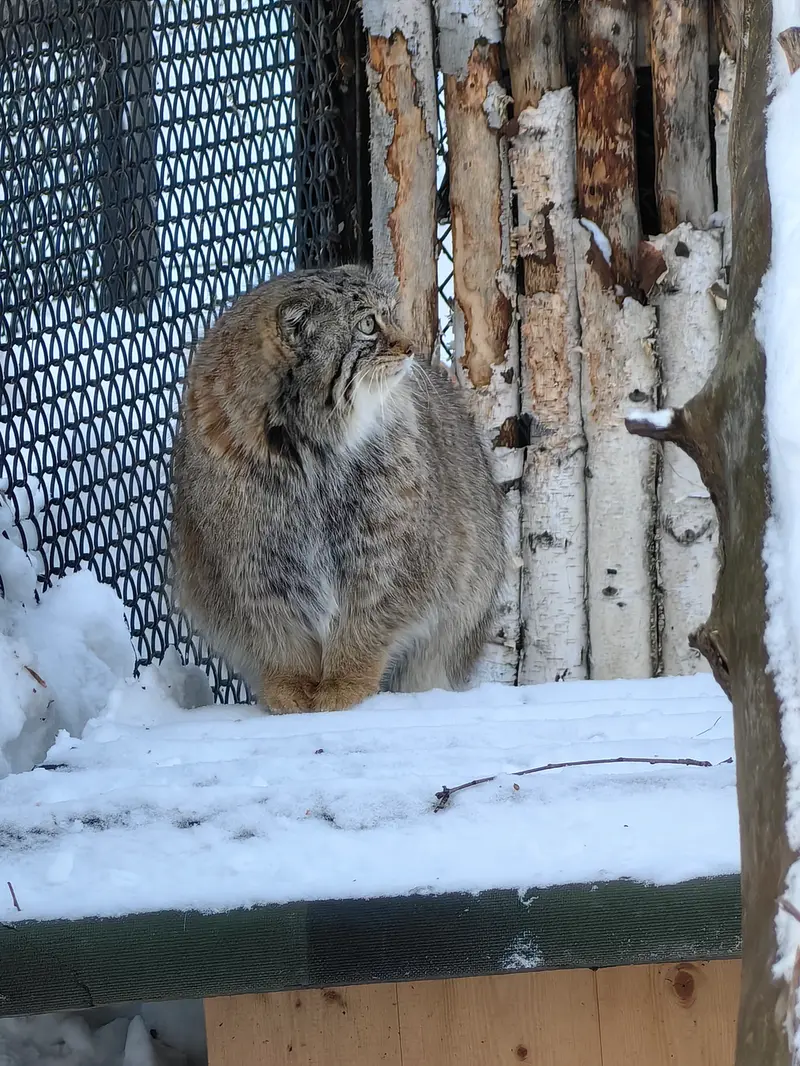 A photograph of Eve in Novosibirsk Zoo