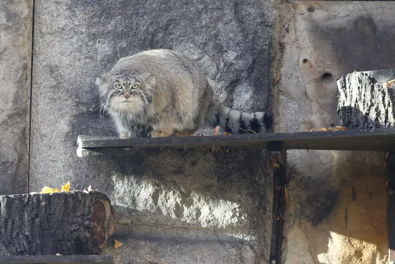 A photograph of Timofey in Moscow zoo