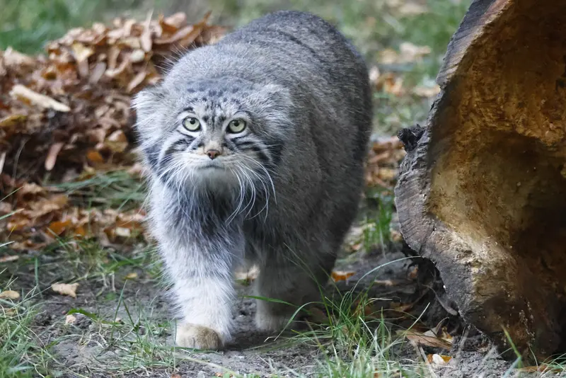 A photograph of Timofey in Moscow zoo