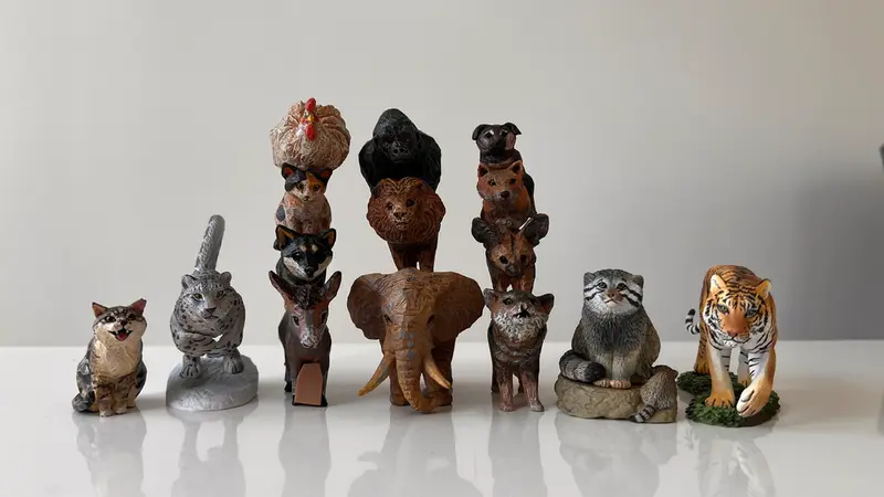 A photograph of a Pallas's cat