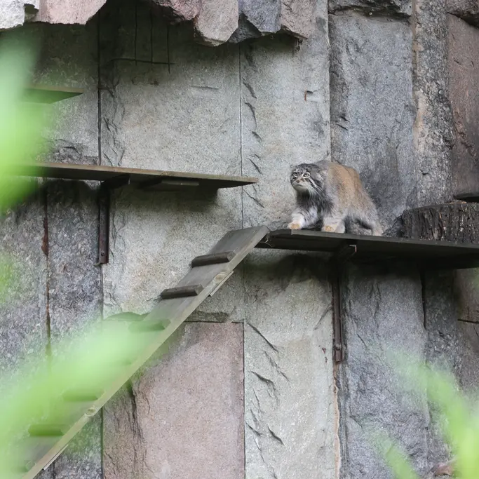 A photograph of Timofey in Moscow zoo
