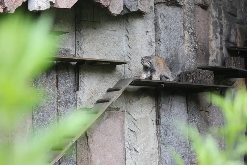A photograph of Timofey in Moscow zoo