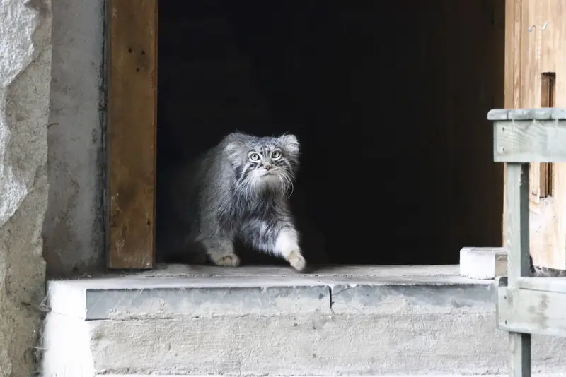 A photograph of Timofey in Moscow zoo
