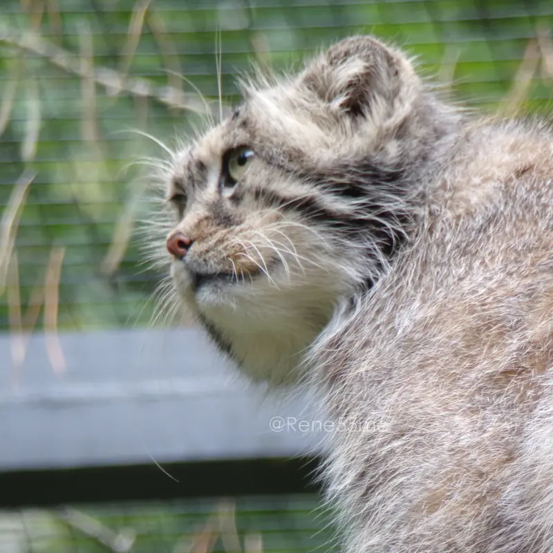A photograph of Manuel in Gdansk Zoo