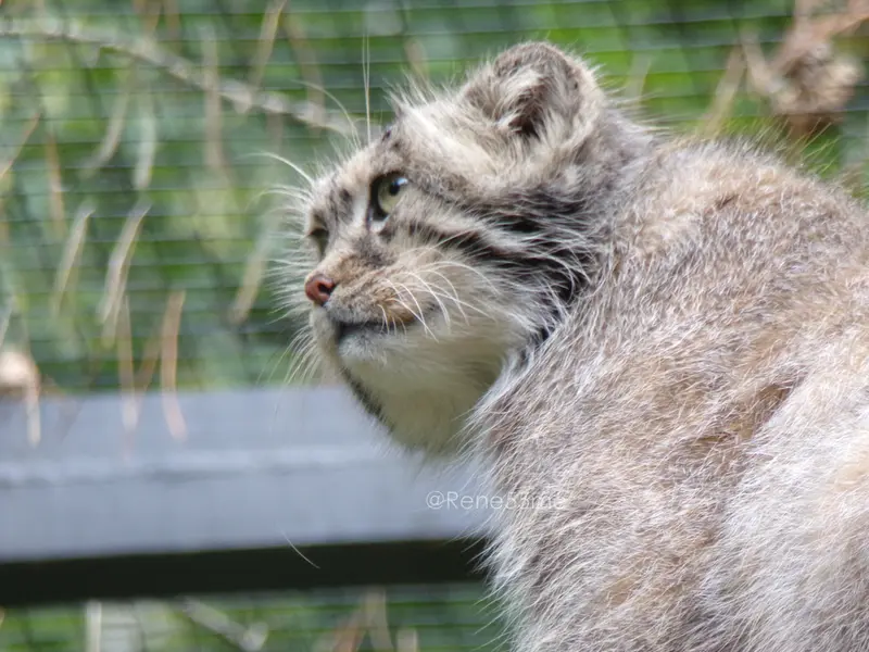 A photograph of Manuel in Gdansk Zoo