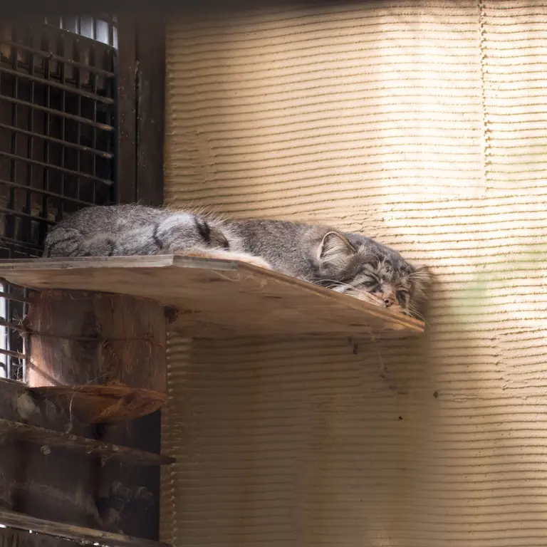 A photograph of Hide in Asahiyama Zoo