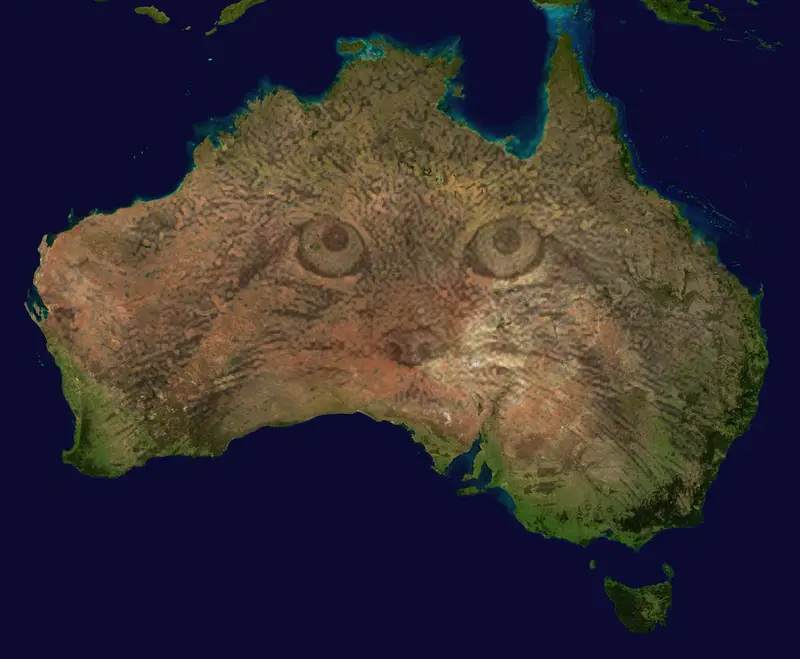Australian Manuls