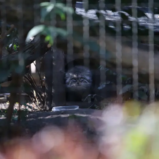 A photograph of Jessie in Warsaw Zoo