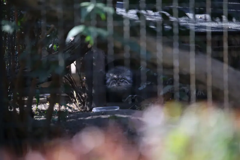 A photograph of Jessie in Warsaw Zoo