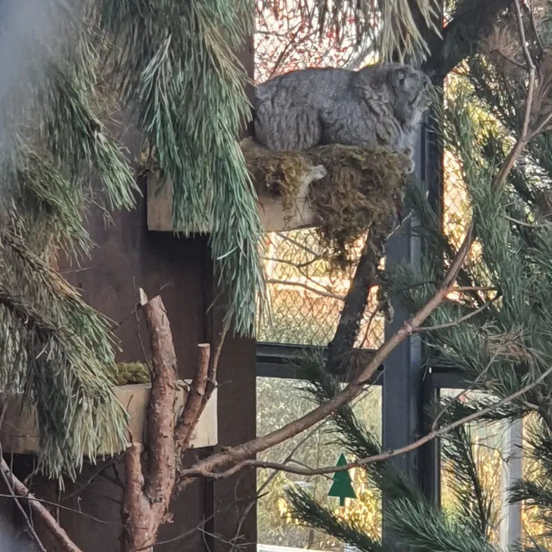 A photograph of Boris in Royev Ruchey