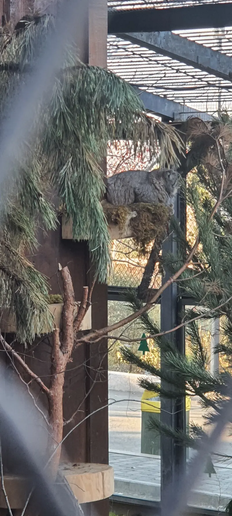 A photograph of Boris in Royev Ruchey