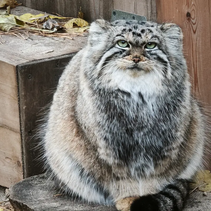 A photograph of Anya in Novosibirsk Zoo