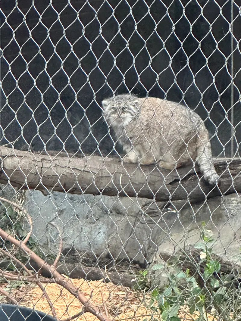A photograph of Sarnai in Prospect Park Zoo