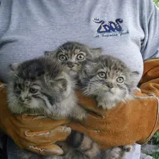 A photograph of Elvira and Tim in Red River Zoo