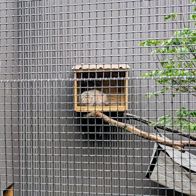 A photograph of Reza in Elmwood Park Zoo