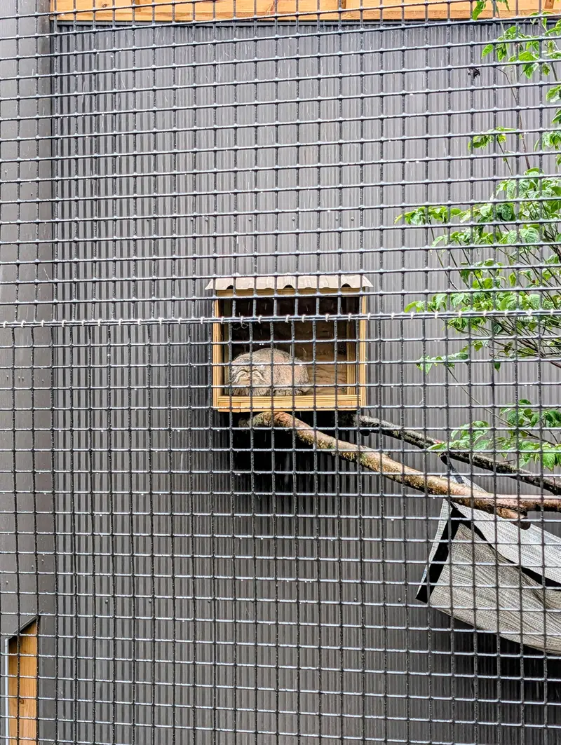 A photograph of Reza in Elmwood Park Zoo