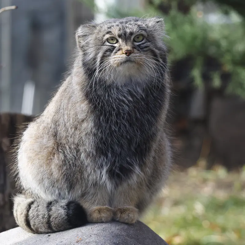 A photograph of Timofey in Moscow zoo