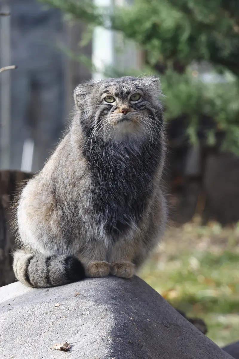 A photograph of Timofey in Moscow zoo