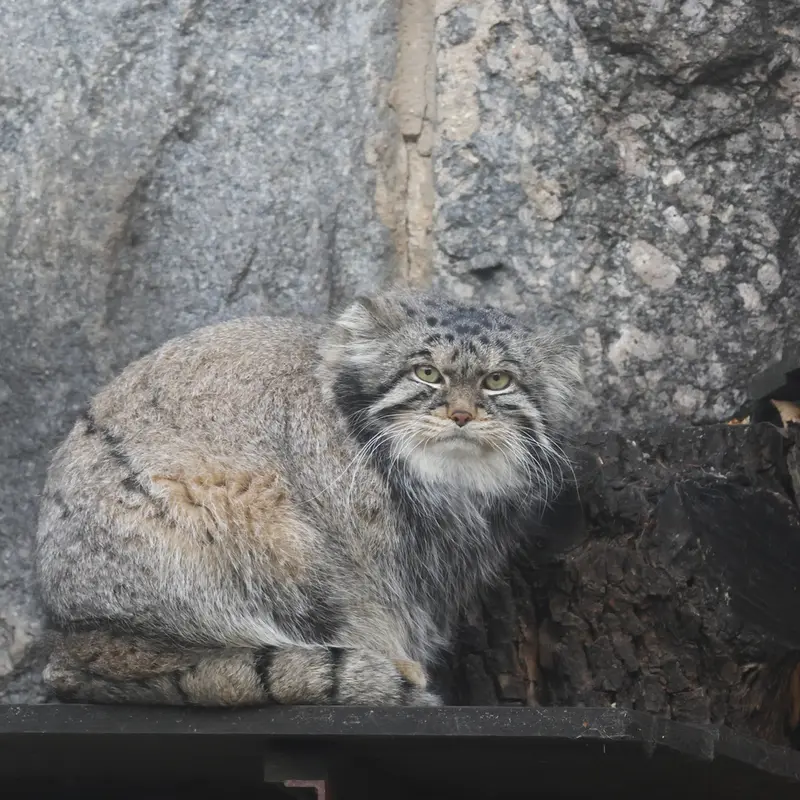 A photograph of Timofey in Moscow zoo