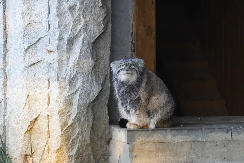 A photograph of Timofey in Moscow zoo