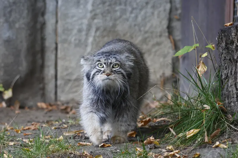 A photograph of Timofey in Moscow zoo
