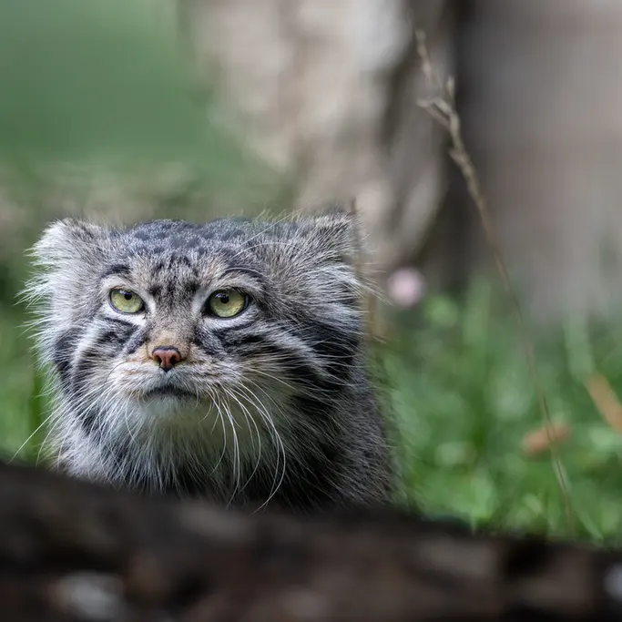 A photograph of Timofey in Moscow zoo