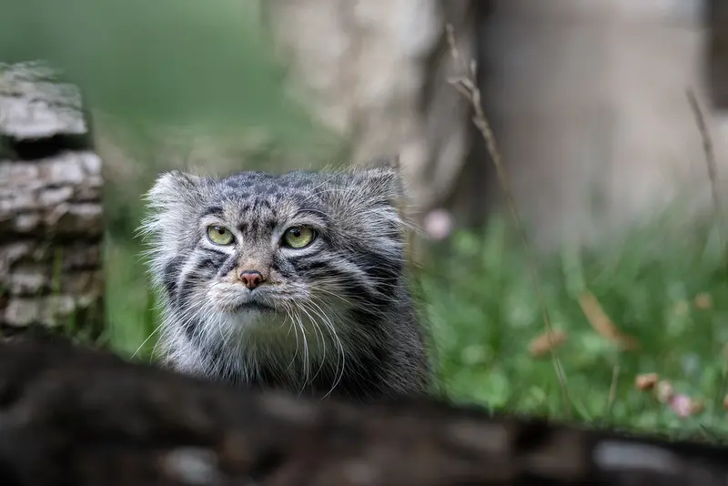 A photograph of Timofey in Moscow zoo