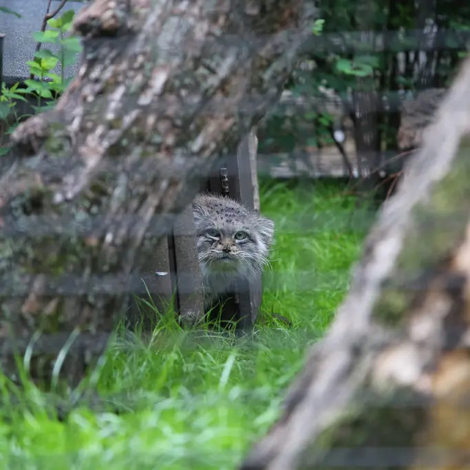 A photograph of Jessie in Warsaw Zoo