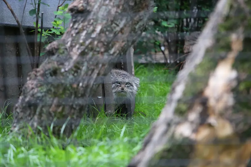 A photograph of Jessie in Warsaw Zoo