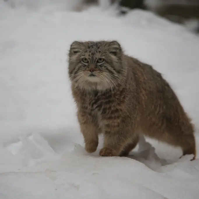 A photograph of Manuel in Gdansk Zoo