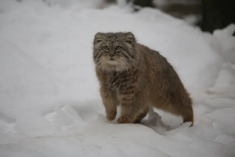 A photograph of Manuel in Gdansk Zoo