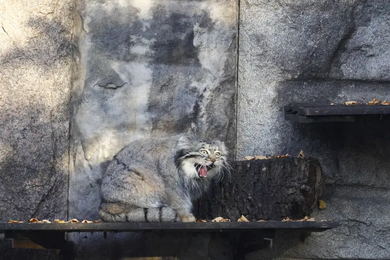 A photograph of Timofey in Moscow zoo