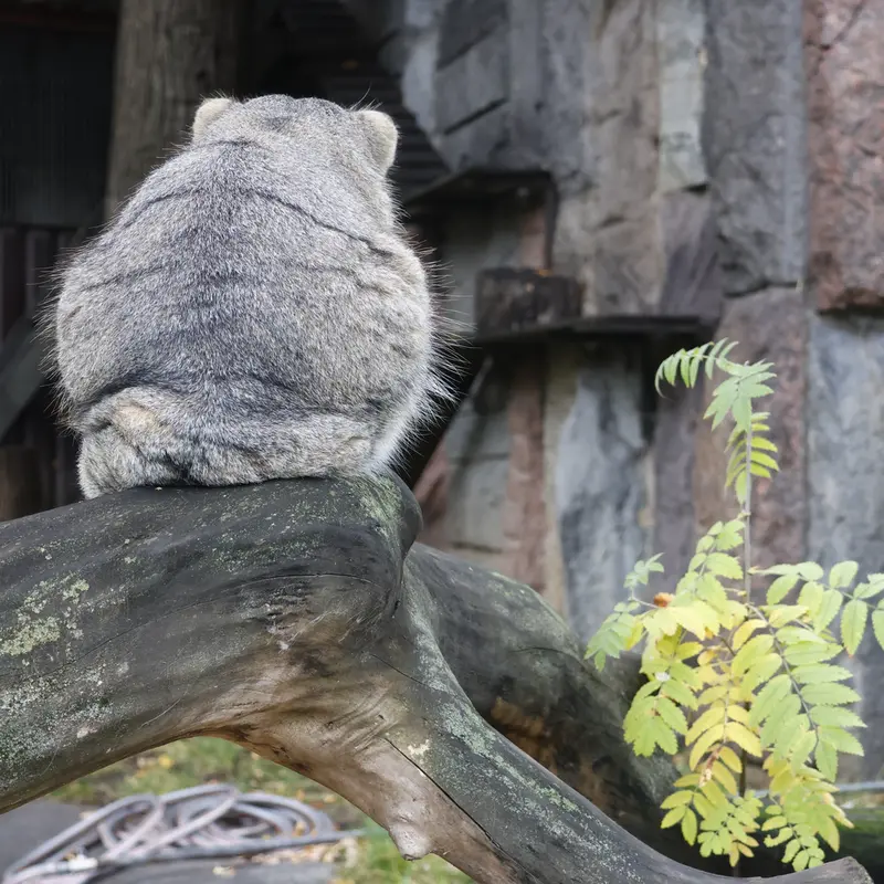 A photograph of Timofey in Moscow zoo