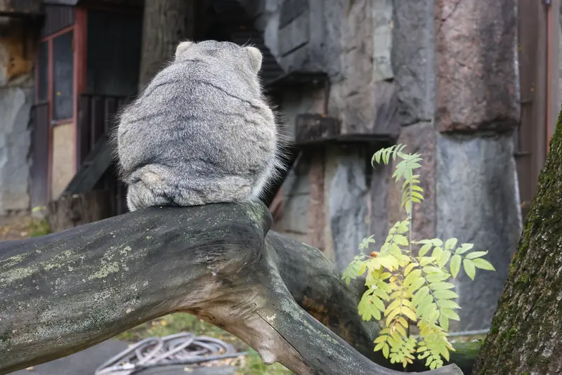 A photograph of Timofey in Moscow zoo