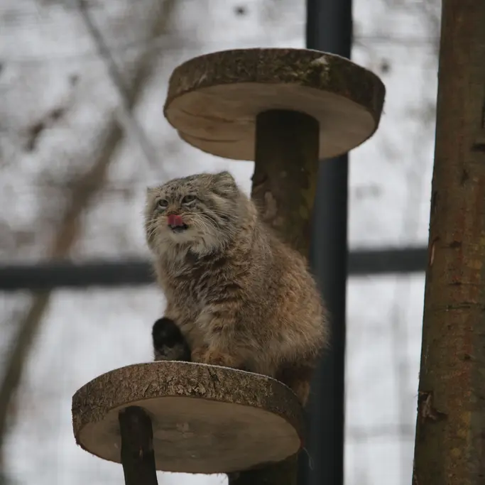 A photograph of Manuel in Gdansk Zoo