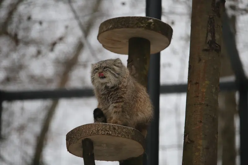 A photograph of Manuel in Gdansk Zoo