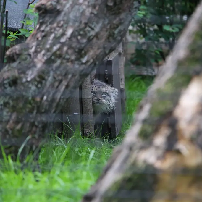 A photograph of Jessie in Warsaw Zoo