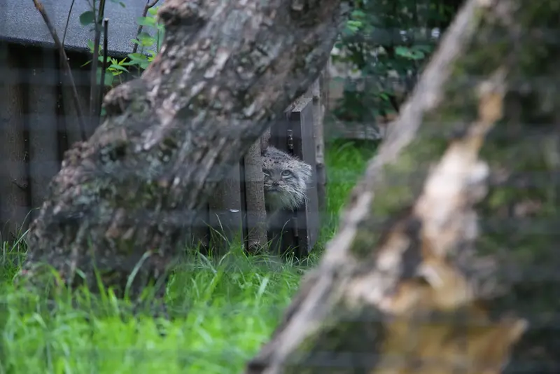 A photograph of Jessie in Warsaw Zoo
