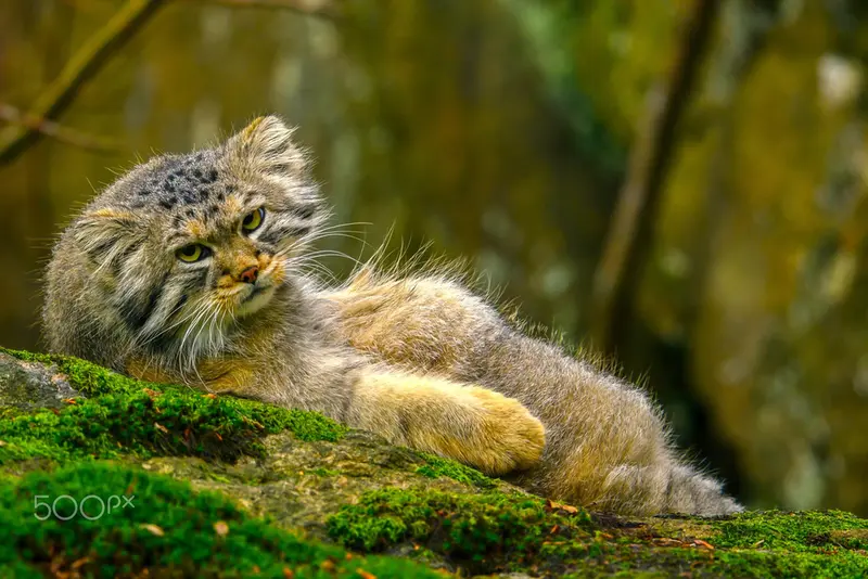 A photograph of Thomas O'Malley in Nordens Ark